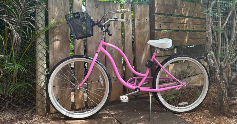 The-Pink-Bicycle-Shanti-Ghar-Mauritius