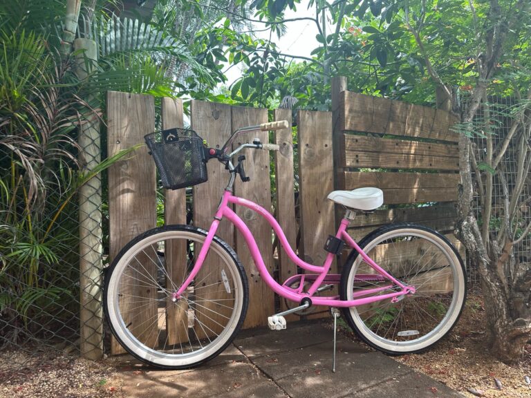 The-Pink-Bicycle-Shanti-Ghar-Mauritius